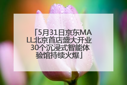 5月31日京东MALL北京首店盛大开业 30个沉浸式智能体验馆持续火爆