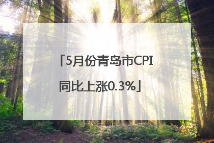 5月份青岛市CPI同比上涨0.3%