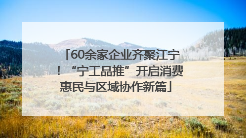 60余家企业齐聚江宁！“宁工品推”开启消费惠民与区域协作新篇