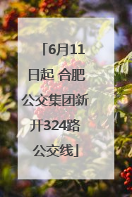 6月11日起 合肥公交集团新开324路公交线