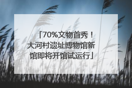 70%文物首秀！大河村遗址博物馆新馆即将开馆试运行