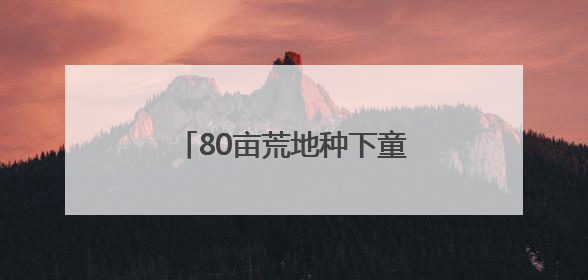 80亩荒地种下童话，珠海这对夫妻“为了家乡我愿意”