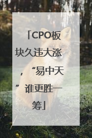 CPO板块久违大涨，“易中天”谁更胜一筹
