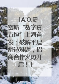 A.O.史密斯“数字真五恒”上海首发：破解平层舒适难题，招商合作火热开启！