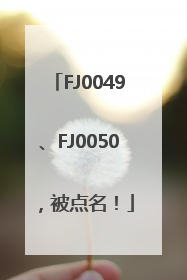 FJ0049、FJ0050，被点名！